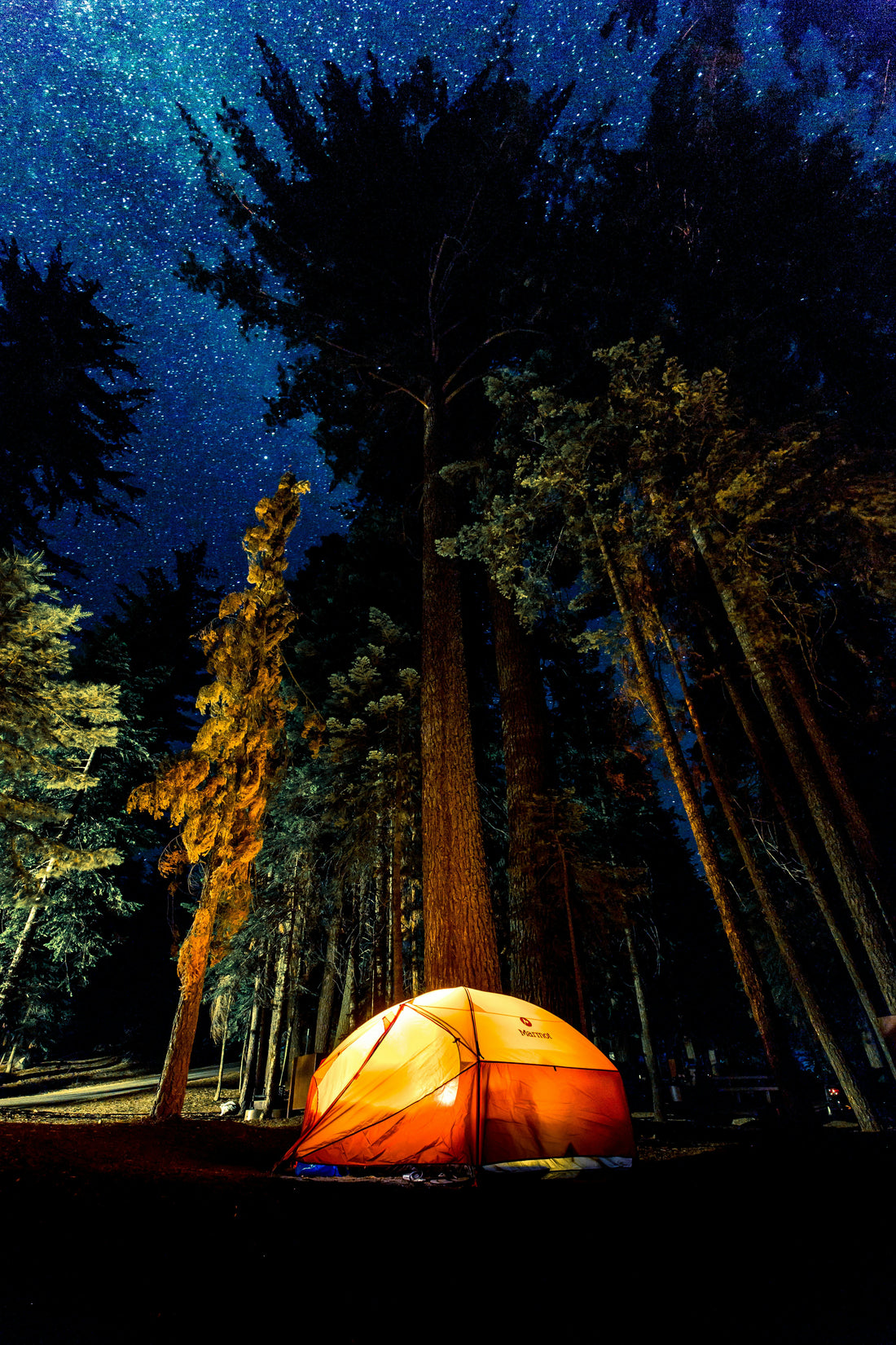 From Tents to Trails: Your Complete Guide to Camping